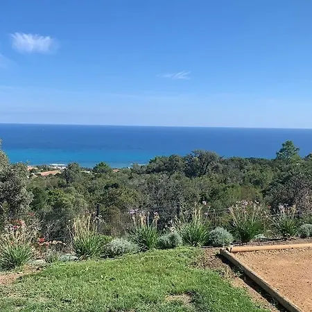 Corse Du Sud Avec Piscine Et Vue סארי סולנזארה