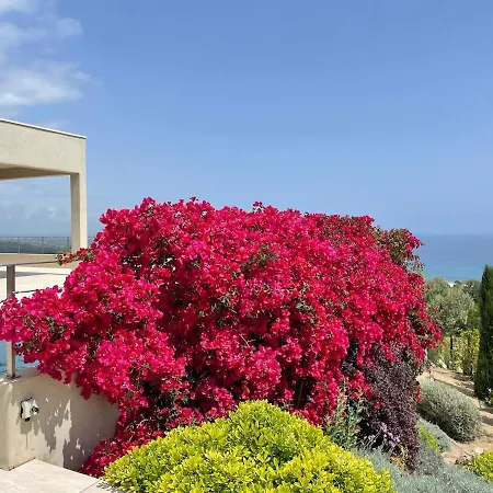 Corse Du Sud Avec Piscine Et Vue Villa *