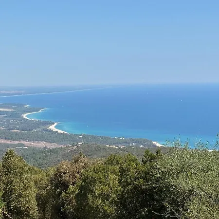 Corse Du Sud Avec Piscine Et Vue