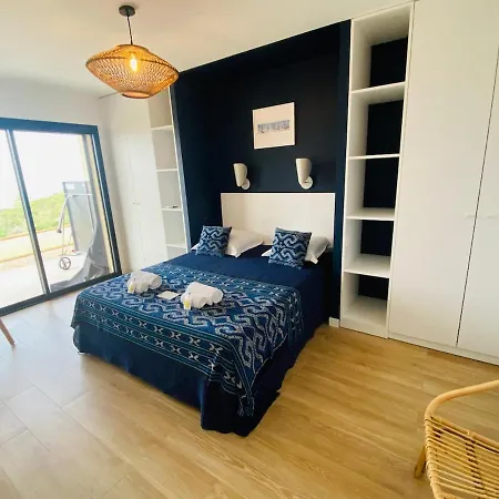 Corse Du Sud Avec Piscine Et Vue Villa