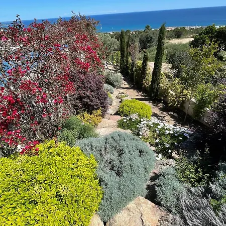 Corse Du Sud Avec Piscine Et Vue