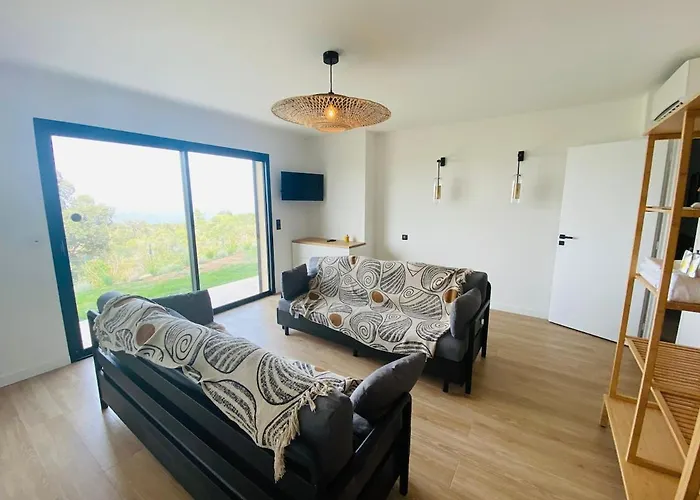 Villa Corse Du Sud Avec Piscine Et Vue