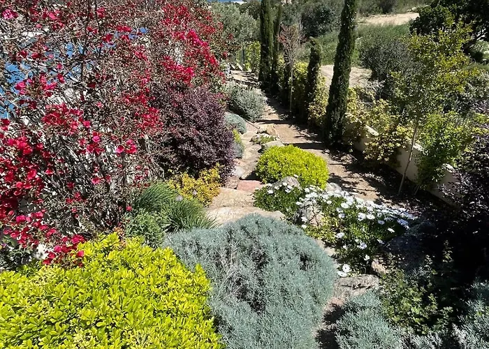 Corse Du Sud Avec Piscine Et Vue